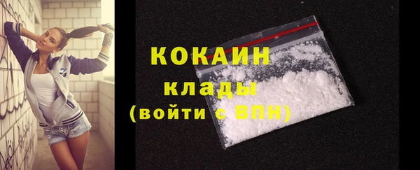 шишки Волосово
